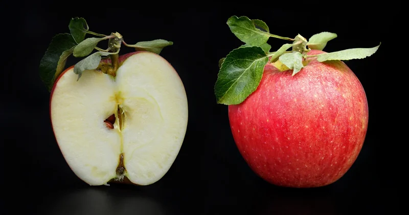 Les pommes : lesquelles, comment les couper, et pourquoi la variété compte