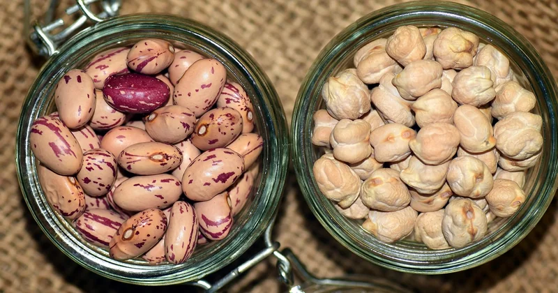 Pois chiches secs ou en boîte : le vrai match