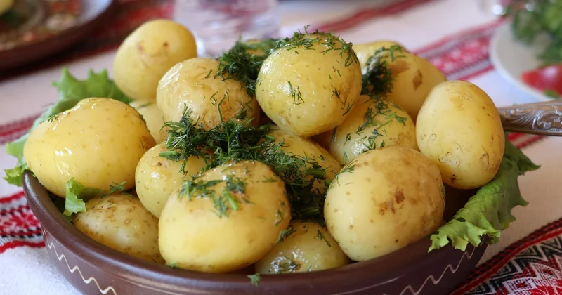 Quelle pomme de terre choisir pour un gratin qui tient ?