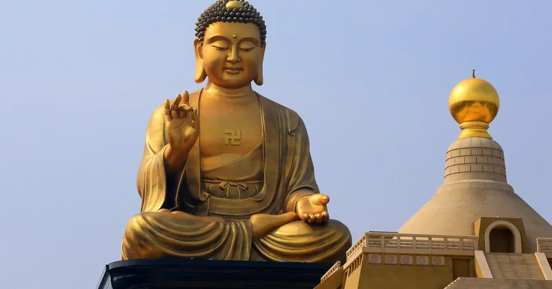La recette buddha bowl minceur : arrêtez de supprimer, mesurez